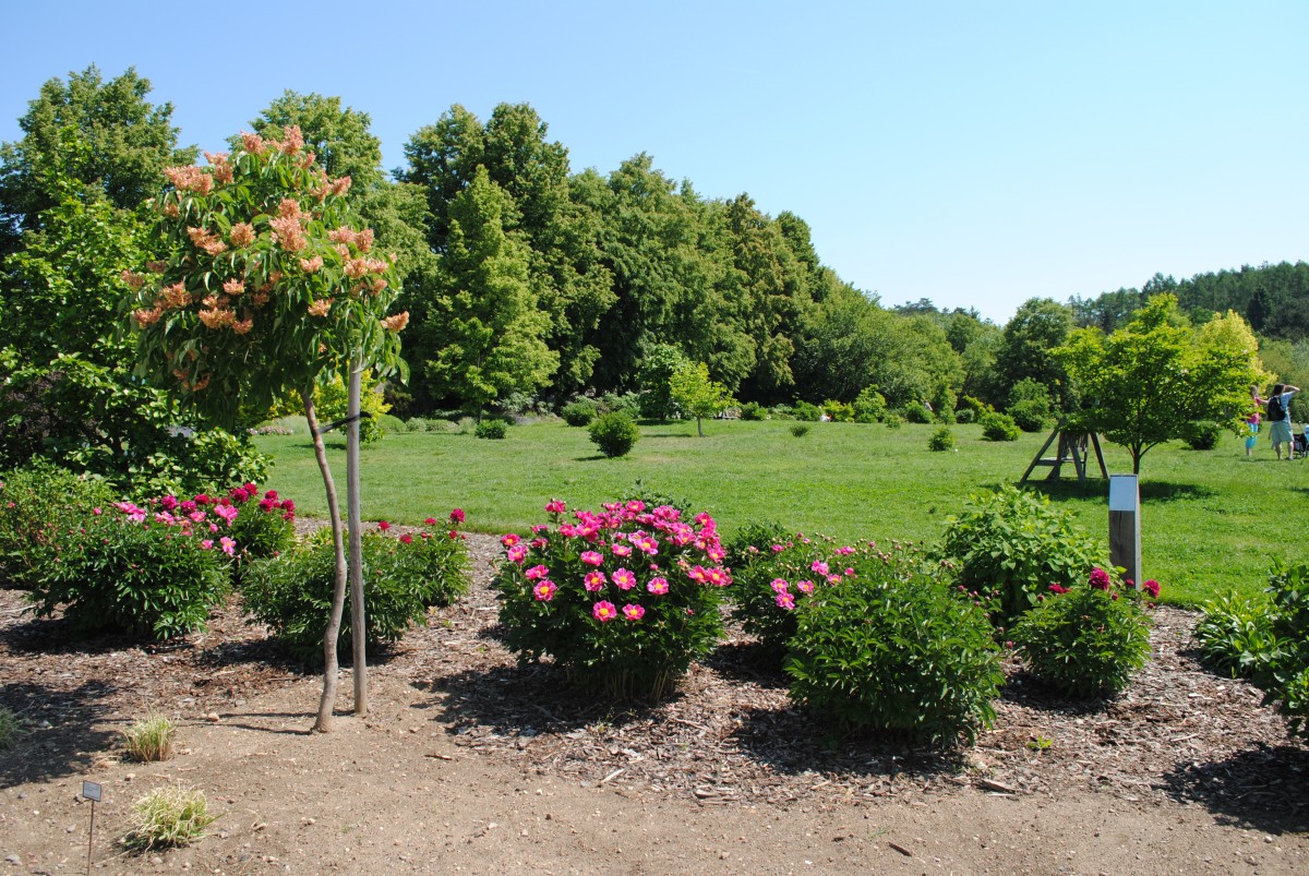 Giardinaggio Teramo Ascoli Piceno - Manutenzione Giardini Abruzzo Marche